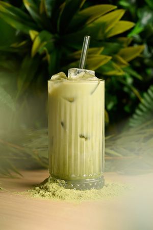  at Copper Branch in Haarlem