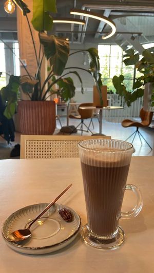   at Copper Branch in Haarlem
