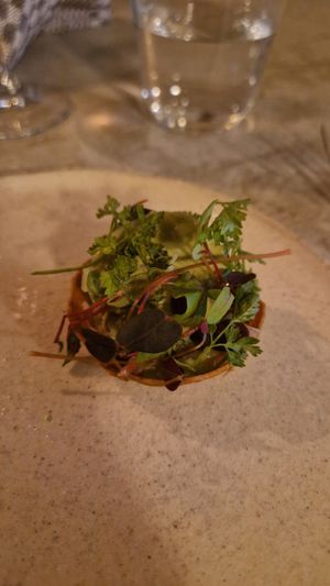  at Vivide in Paris