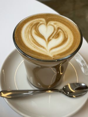   at Bird Coffee Lab in Seoul