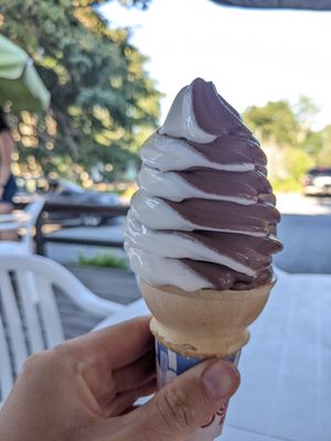 Non-dairy twist at Ice Cream Cafe in Orleans