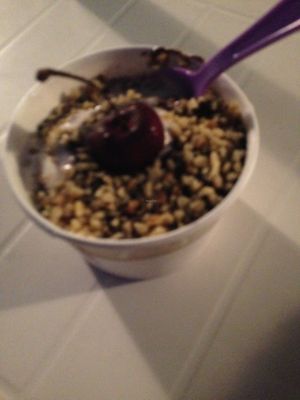 Vegan hot fudge sundae :D at Ice Cream Cafe in Orleans