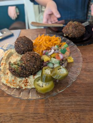 Falafel and hummus at Jungle Pimfy - 동물책방 정글핌피 in Seoul