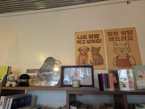  at Jungle Pimfy - 동물책방 정글핌피 in Seoul