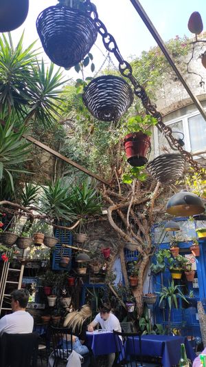  at El Barroco in Cadaques