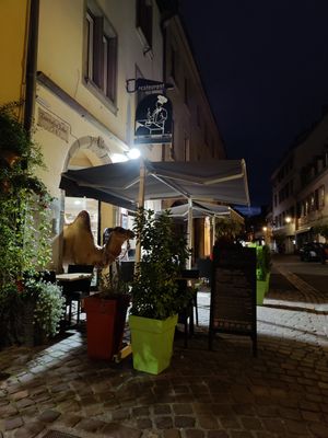  at Le Touareg in Colmar