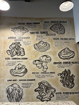 Amazing wall mural describing the properties of various mushrooms   at The Dusted Cup in Portland