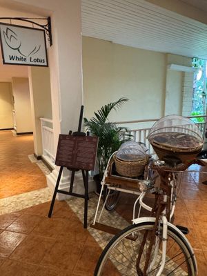  at White Lotus in Krabi