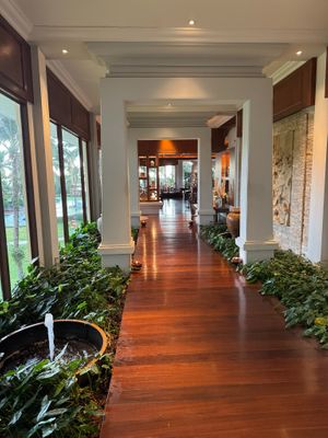  at White Lotus in Krabi