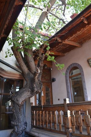 Tree growing inside the stairway! at Lusik Aguletsi House-Museum and Art Cafe in Yerevan