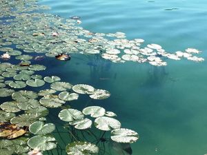 Loving Hut Klopeiner See at Loving Hut Pension in St Kanzian