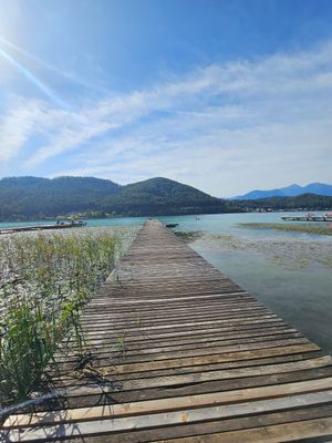  at Loving Hut Pension in St Kanzian