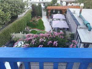 Garten at Loving Hut Pension in St Kanzian