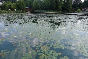 Lake Klopein at Loving Hut Pension in St Kanzian