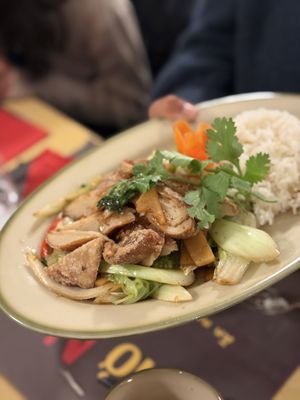 Vegan ‘duck’ with rice  at Phở Na Vegi in Zurich