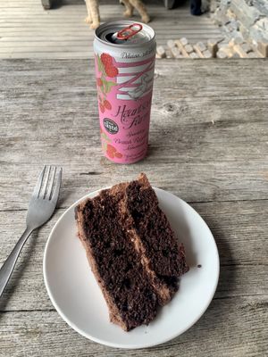   at Centre for Alternative Technology Cafe in Machynlleth