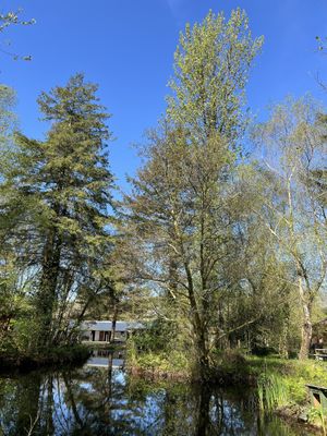 Quarry trail  at Centre for Alternative Technology Cafe in Machynlleth