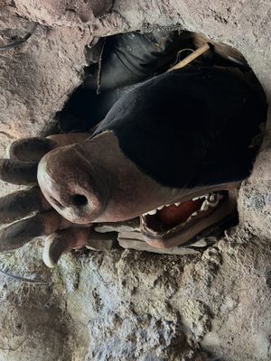 Mole hole  at Centre for Alternative Technology Cafe in Machynlleth