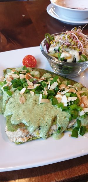 Green paradise at Vege Miasto in Warsaw