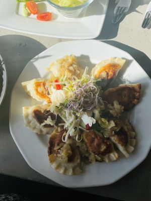 Fried potato dumpling (pierogi)  at Vege Miasto in Warsaw