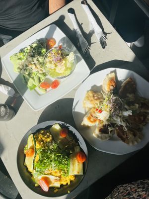   at Vege Miasto in Warsaw