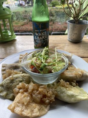 Dumplings   at Vege Miasto in Warsaw
