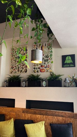   at Vege Miasto in Warsaw