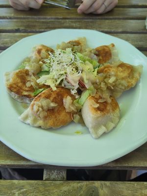 "Russian" dumplings with potatoes, onion, & tofu. at Vege Miasto in Warsaw