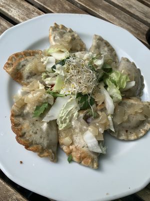Dumplings  at Vege Miasto in Warsaw