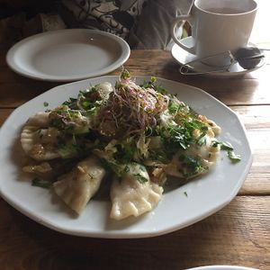 dumplings  at Vege Miasto in Warsaw