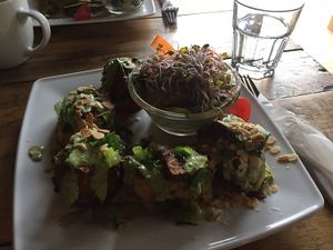 Potato and cashew dish at Vege Miasto in Warsaw