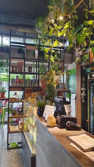  at Vege Miasto in Warsaw