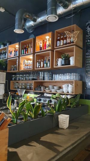  at Vege Miasto in Warsaw