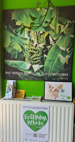  at Vege Miasto in Warsaw