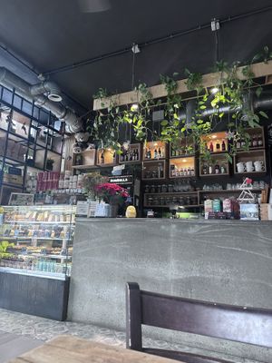  Cute interior   at Vege Miasto in Warsaw