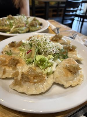 pierogi ruskie  at Vege Miasto in Warsaw