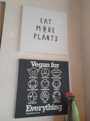  at Vege Miasto in Warsaw