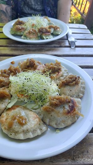 Pierogis ❤️❤️❤️ at Vege Miasto in Warsaw