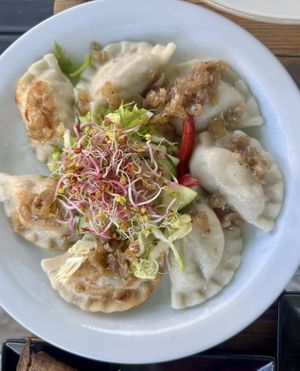 Pierogi  at Vege Miasto in Warsaw