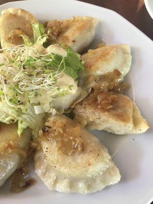 Russian Pierogi  at Vege Miasto in Warsaw