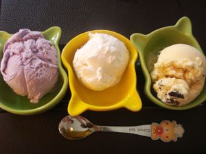 vegan blueberry yogurt, vegan coconut, and vegan chocolate cookies ice creams at Iconic Ice Cream in Chiang Mai