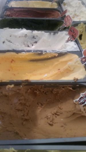 Vegan ice cream! at Iconic Ice Cream in Chiang Mai