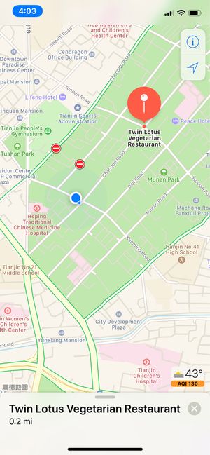 Blue dot is the actual location at Twin Lotus Vegetarian Restaurant - Maybe closed in Tianjin