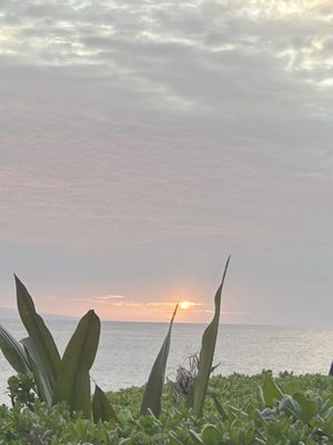 sunset view from restaurant  at Maui Brewing Co in Kahana