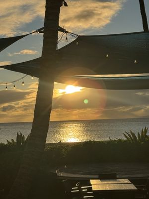   at Maui Brewing Co in Kahana