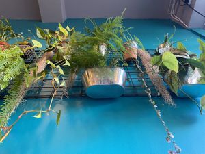 Gorgeous surroundings  at Power Plant Cafe in Plymouth