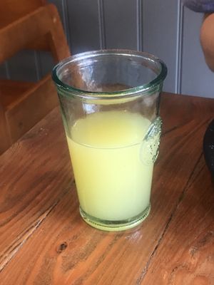 Organic orange squash   at Power Plant Cafe in Plymouth