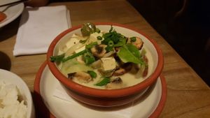 Green curried tofu and veg in coconut milk at Thai House - Bayit Thailandi in Tel Aviv