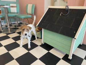  at Antons Milchbar in Aachen