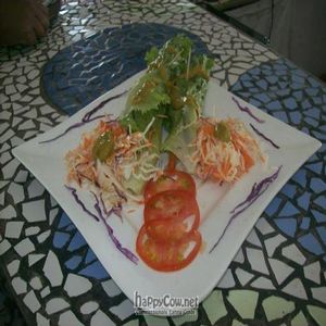 Raw Burritos at Veronica's Place in Puerto Viejo De Talamanca